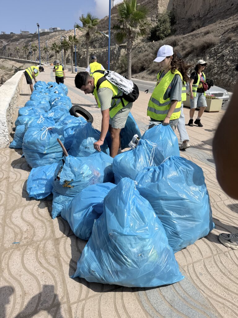 Green Organisation Morocco cleanup event